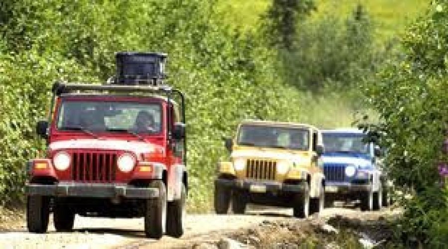 نتائج البحث عن البرامج و الرحلات السياحية في أنطاليا