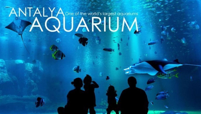 أنطاليا أكواريوم – رحلة ساحرة تحت الماء